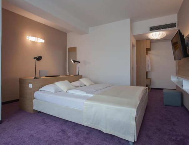 Comfort Double Room (4)