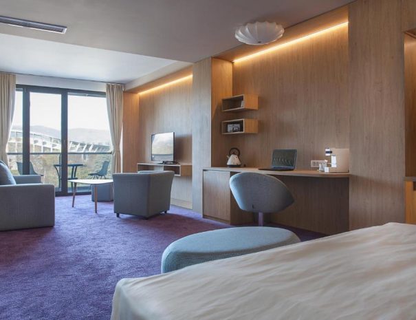 Junior Suite City Park Hotel (1)