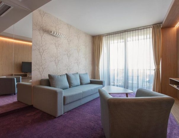 Junior Suite City Park Hotel (7)