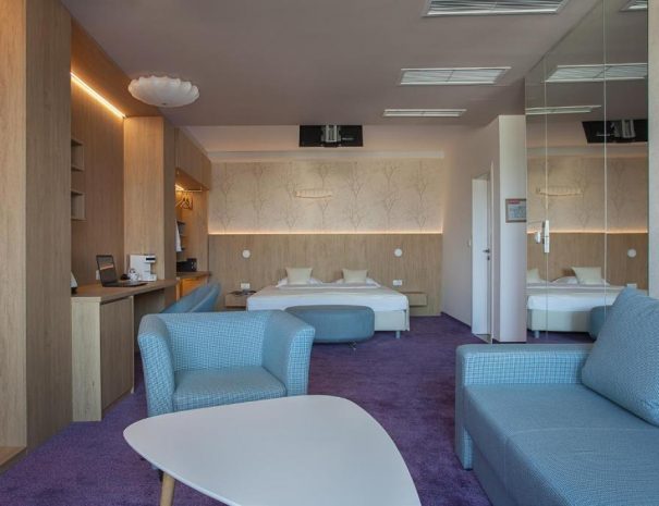 Junior Suite City Park Hotel (8)