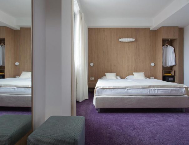 Standard Double Room City Park Hotel (1)