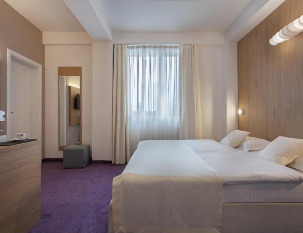 Standard Double Room City Park Hotel (2)