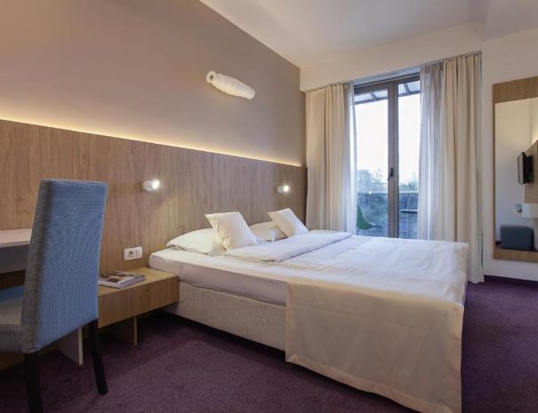 Standard Double Room City Park Hotel (3)