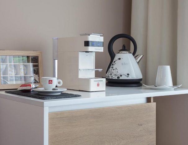 Standard Double Room City Park Hotel (4)