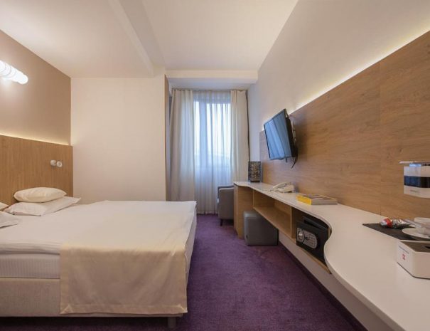 Standard Double Room City Park Hotel (5)
