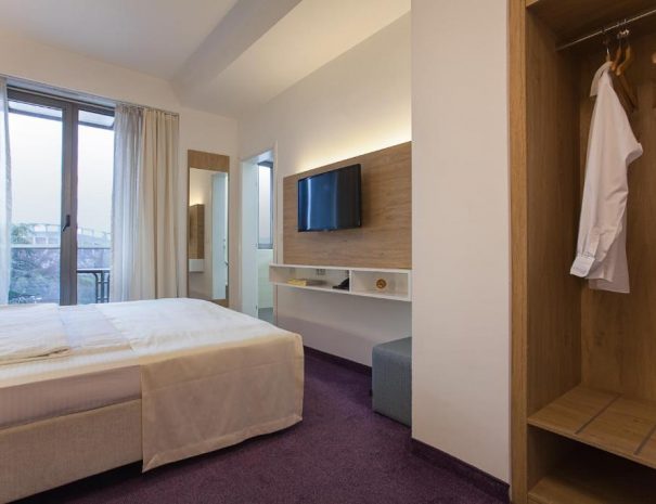 Standard Double Room City Park Hotel (6)