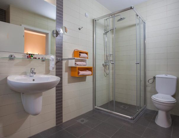 Standard Double Room City Park Hotel (7)